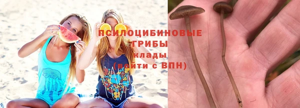 молекула духа Горняк