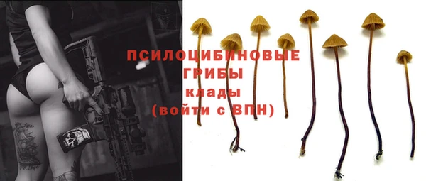 МДМА Гусиноозёрск