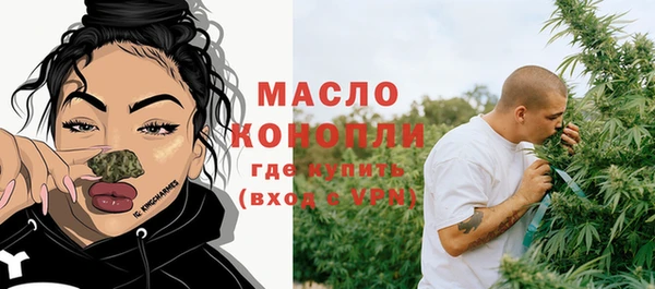 молекула духа Горняк