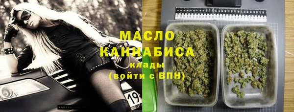 молекула духа Горняк