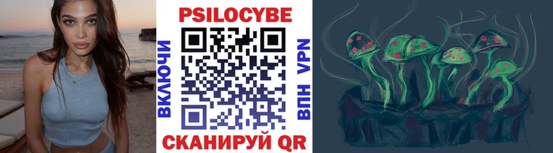 Купить  Светлогорск  Галлюциногенные грибы MAGIC MUSHROOMS 