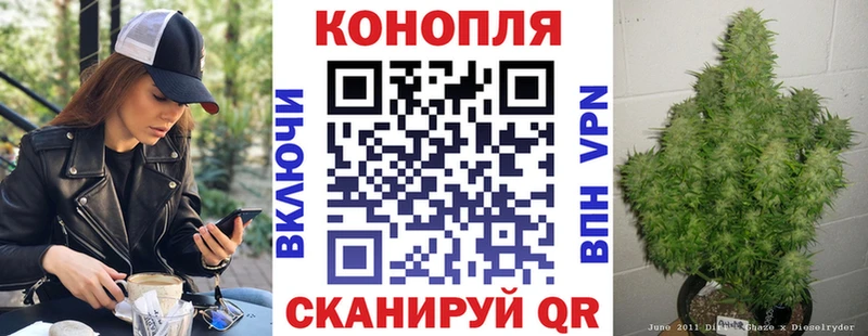 Купить  Светлогорск  МАРИХУАНА SATIVA & INDICA 